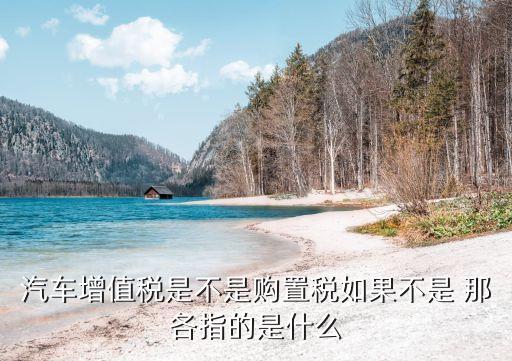 汽車增值稅是不是購置稅如果不是 那各指的是什么