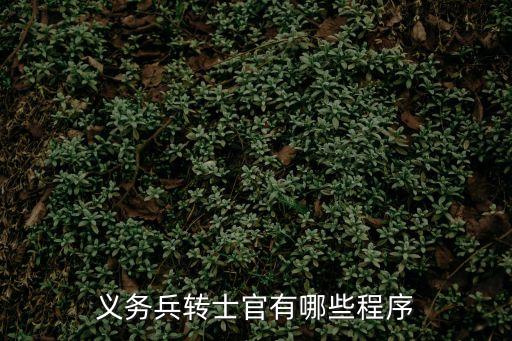 義務(wù)兵怎么轉(zhuǎn)士官，現(xiàn)役軍人怎樣轉(zhuǎn)一級(jí)士官