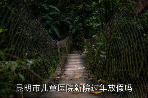 醫(yī)院過年放假嗎，醫(yī)院春節(jié)休息么