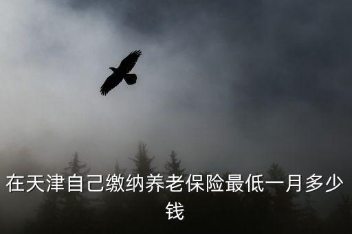 在天津自己繳納養(yǎng)老保險最低一月多少錢