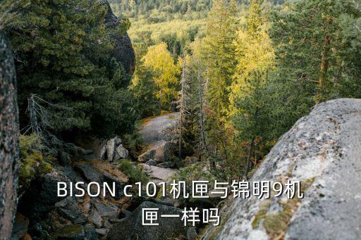 錦明9代，BISON c101機(jī)匣與錦明9機(jī)匣一樣嗎
