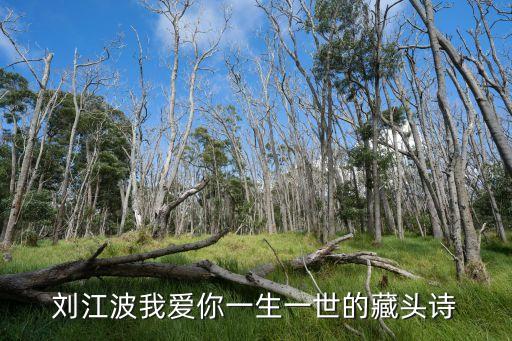 劉江波我愛你一生一世的藏頭詩