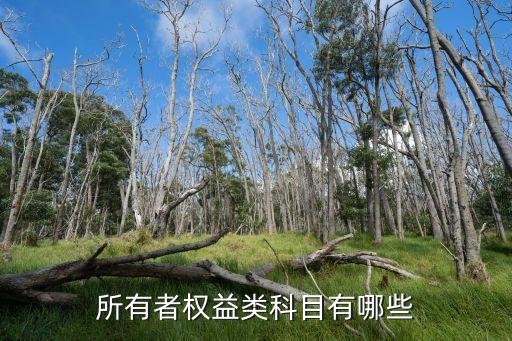 所有者權(quán)益類科目有哪些