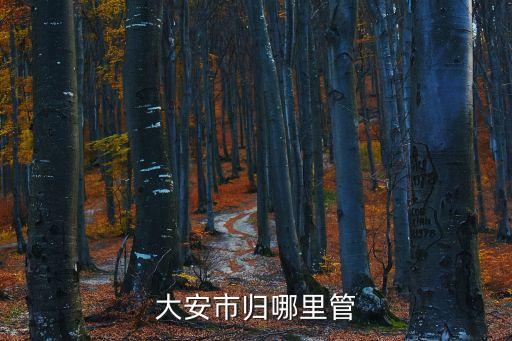 大安區(qū)，安徽省大安市的區(qū)號(hào)