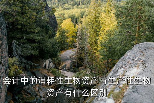生產(chǎn)性生物資產(chǎn)，資產(chǎn)負(fù)債表種生產(chǎn)性生物資產(chǎn)怎么填