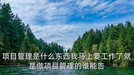 項目管理是做什么，工程項目管理 是干什么的