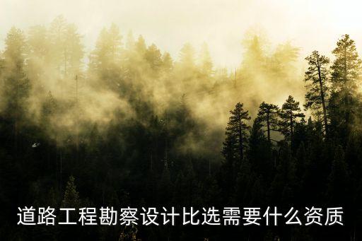 公路設(shè)計(jì)資質(zhì)，道路工程勘察設(shè)計(jì)比選需要什么資質(zhì)