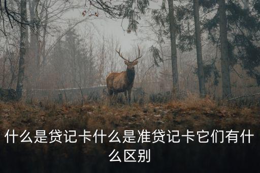 準貸記卡，什么叫做準貸記卡