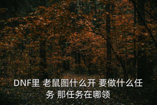 DNF里 老鼠圖什么開 要做什么任務 那任務在哪領