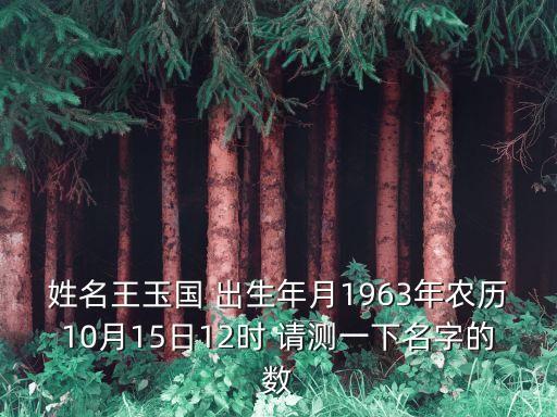 王玉國，姓名王玉國 出生年月1963年農(nóng)歷10月15日12時 請測一下名字的數(shù)