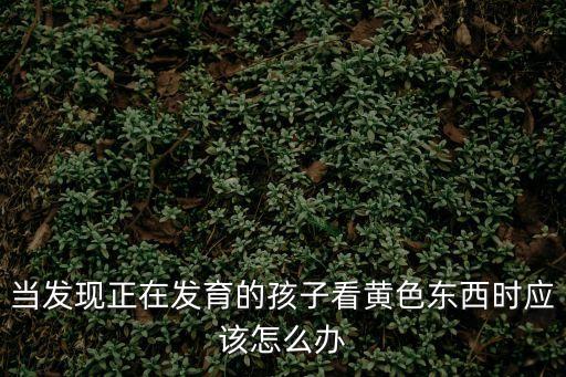當(dāng)發(fā)現(xiàn)正在發(fā)育的孩子看黃色東西時(shí)應(yīng)該怎么辦