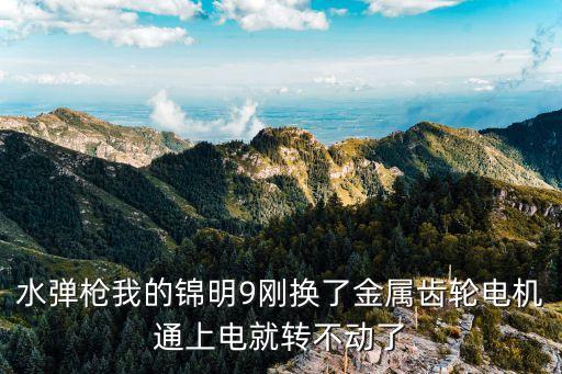 水彈槍我的錦明9剛換了金屬齒輪電機(jī)通上電就轉(zhuǎn)不動(dòng)了