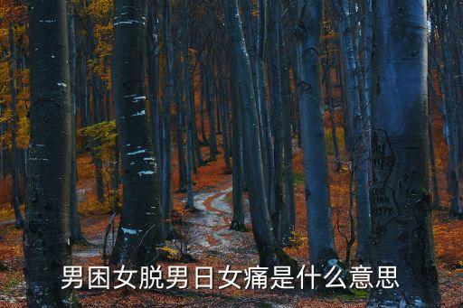 男困女脫男日女痛是什么意思