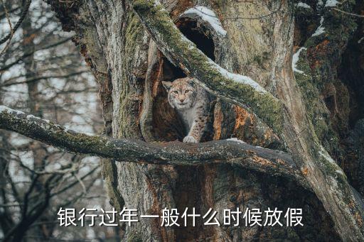 銀行過(guò)年一般什么時(shí)候放假