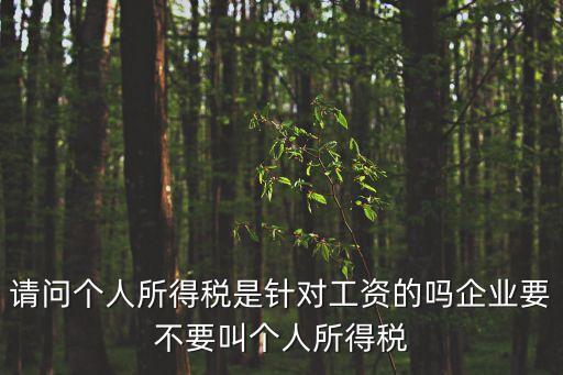 請問個人所得稅是針對工資的嗎企業(yè)要不要叫個人所得稅