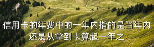 信用卡的年費中的一年內(nèi)指的是當年內(nèi)還是從拿到卡算起一年之