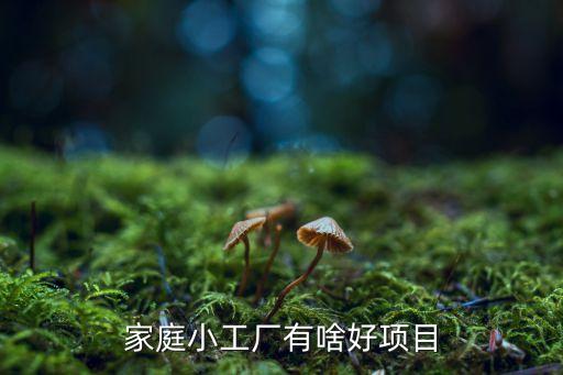 家庭小工廠有啥好項目