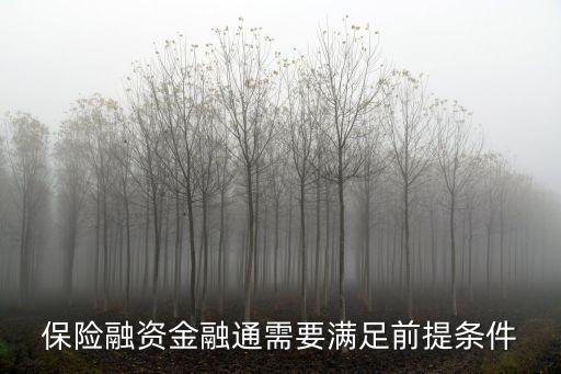 保險(xiǎn)融資金融通需要滿足前提條件