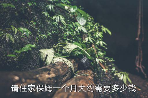 請(qǐng)住家保姆一個(gè)月大約需要多少錢