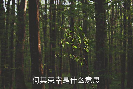 何其榮幸是什么意思