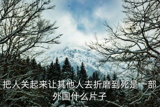 把人關(guān)起來讓其他人去折磨到死是一部外國什么片子