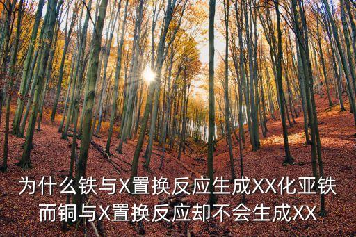 xx化，為什么鐵與X置換反應(yīng)生成XX化亞鐵而銅與X置換反應(yīng)卻不會生成XX