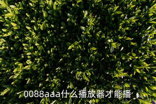 0088aaa，AAAAAAAA1000每個(gè)A代表不同的數(shù)字A是多少