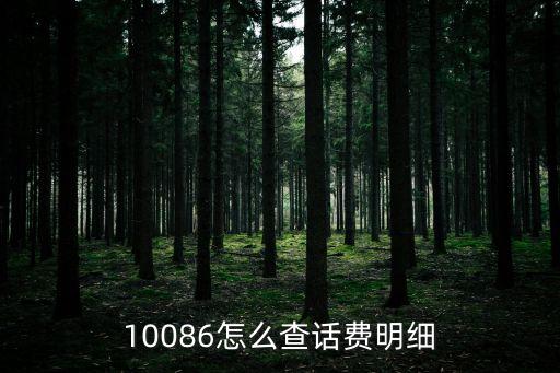 查看明細(xì)，怎么查交易明細(xì)啊