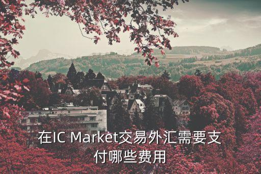 在IC Market交易外匯需要支付哪些費用