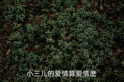 小三兒的愛情算愛情麼