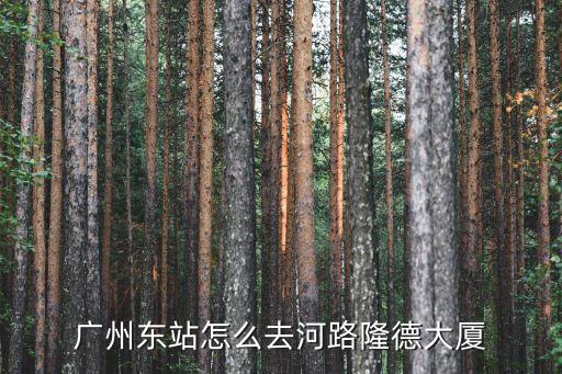 廣州東站怎么去河路隆德大廈