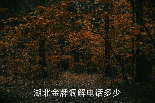 湖北金牌調(diào)解電話多少