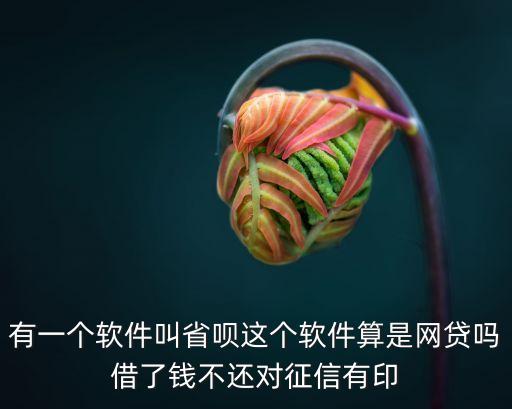 有一個(gè)軟件叫省唄這個(gè)軟件算是網(wǎng)貸嗎借了錢(qián)不還對(duì)征信有印