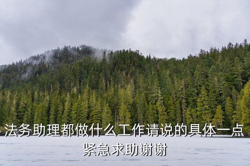 法務(wù)助理都做什么工作請說的具體一點緊急求助謝謝