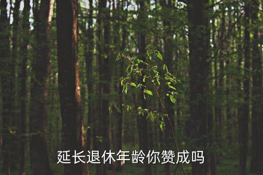 延長退休年齡，什么叫漸進(jìn)式延遲退休年齡