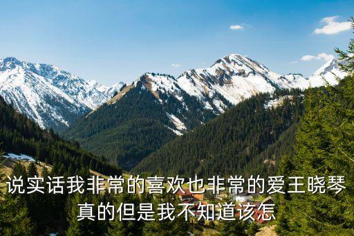 說(shuō)實(shí)話我非常的喜歡也非常的愛(ài)王曉琴真的但是我不知道該怎