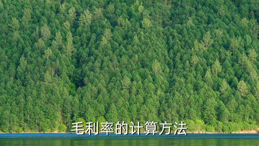 毛利率的計(jì)算方法