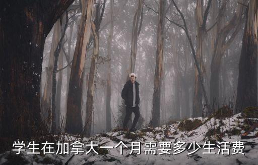 學(xué)生在加拿大一個月需要多少生活費