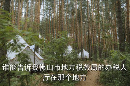 誰能告訴我佛山市地方稅務局的辦稅大廳在那個地方