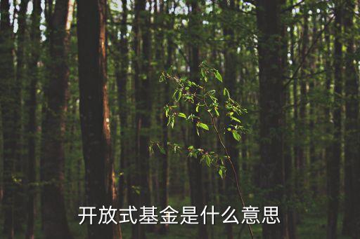 開放式基金是什么意思