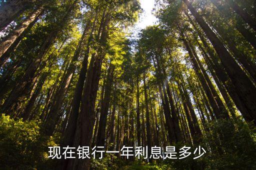 現(xiàn)在銀行一年利息是多少