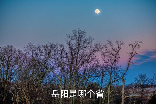 岳陽在哪，岳陽是哪個省的