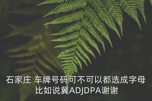 石家莊車牌，石家莊車牌號