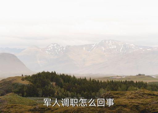 軍人調(diào)職怎么回事