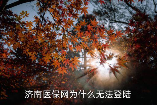 濟(jì)南醫(yī)保網(wǎng)，濟(jì)南醫(yī)保網(wǎng)為什么無法登陸