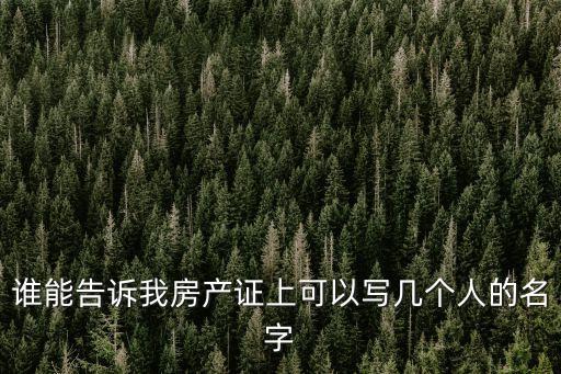 房產(chǎn)證上可以寫幾個人的名字，誰能告訴我房產(chǎn)證上可以寫幾個人的名字