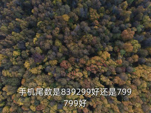 久久妻，手機尾數(shù)是839299好還是799799好