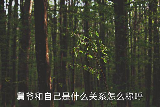 舅爺和自己是什么關(guān)系怎么稱呼