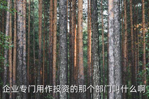 企業(yè)專門用作投資的那個部門叫什么啊