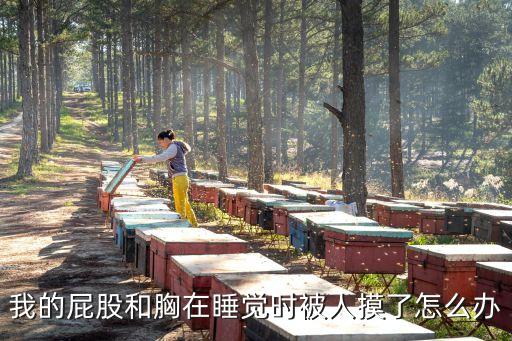 我的屁股和胸在睡覺時(shí)被人摸了怎么辦